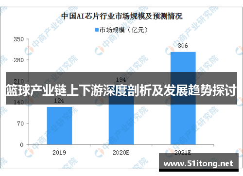 篮球产业链上下游深度剖析及发展趋势探讨